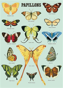 Papillons Vintage Reproduction Poster