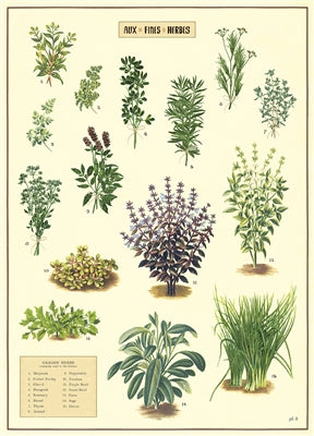 Kitchen Herbs Vintage Reproduction Poster