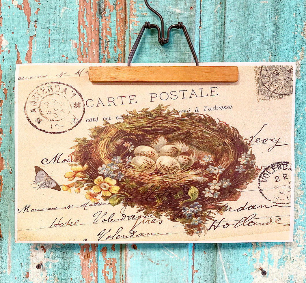 Vintage Inspired Carte Postale Bird Nest Poster