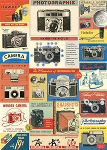 Cameras Vintage Reproduction Poster