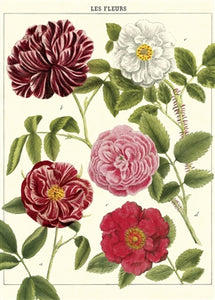 Les Fleurs Vintage Reproduction Poster