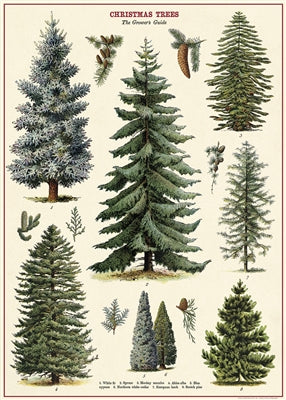 Christmas Trees Vintage Reproduction Poster