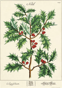 Vintage Christmas Holly Reproduction Poster