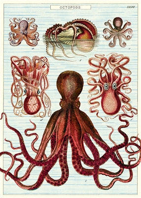 Octopods  Vintage Reproduction Poster