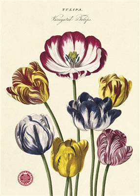 Tulips Vintage Reproduction Poster